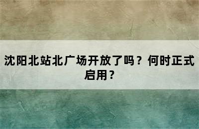沈阳北站北广场开放了吗？何时正式启用？