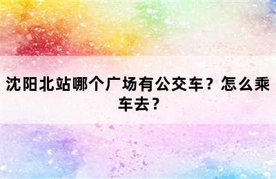 沈阳北站哪个广场有公交车？怎么乘车去？