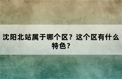 沈阳北站属于哪个区？这个区有什么特色？