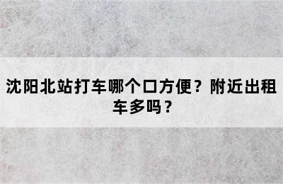 沈阳北站打车哪个口方便？附近出租车多吗？