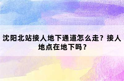 沈阳北站接人地下通道怎么走？接人地点在地下吗？
