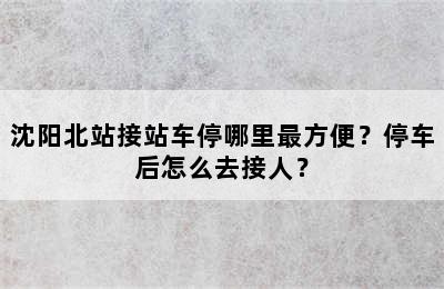 沈阳北站接站车停哪里最方便？停车后怎么去接人？