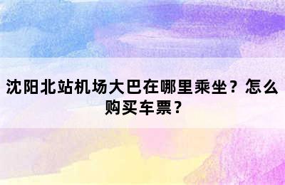沈阳北站机场大巴在哪里乘坐？怎么购买车票？