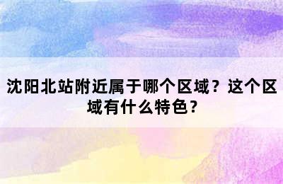沈阳北站附近属于哪个区域？这个区域有什么特色？