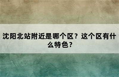 沈阳北站附近是哪个区？这个区有什么特色？