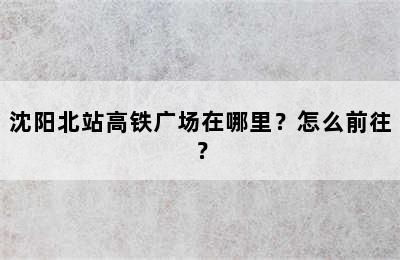 沈阳北站高铁广场在哪里？怎么前往？