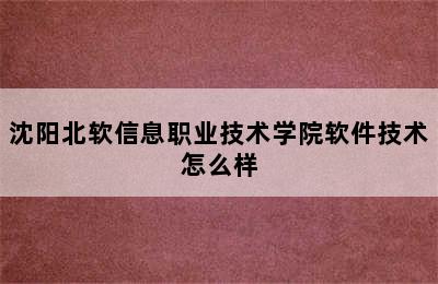 沈阳北软信息职业技术学院软件技术怎么样