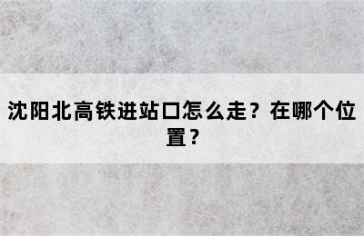 沈阳北高铁进站口怎么走？在哪个位置？