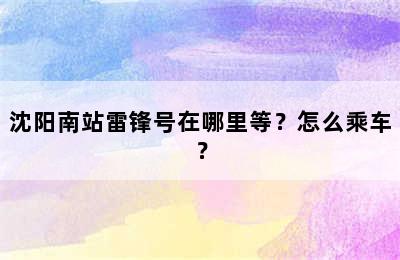 沈阳南站雷锋号在哪里等？怎么乘车？