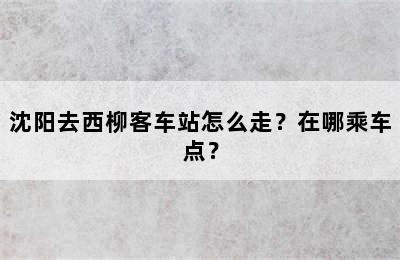 沈阳去西柳客车站怎么走？在哪乘车点？