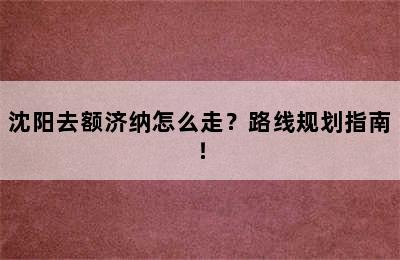 沈阳去额济纳怎么走？路线规划指南！