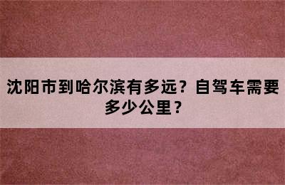 沈阳市到哈尔滨有多远？自驾车需要多少公里？