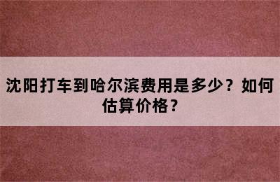 沈阳打车到哈尔滨费用是多少？如何估算价格？