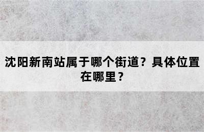 沈阳新南站属于哪个街道？具体位置在哪里？