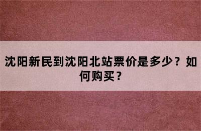 沈阳新民到沈阳北站票价是多少？如何购买？