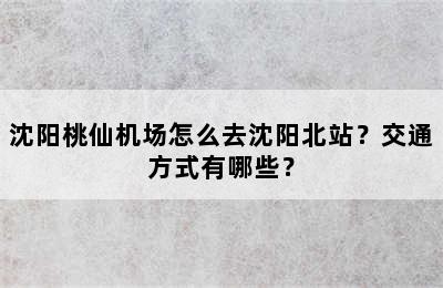沈阳桃仙机场怎么去沈阳北站？交通方式有哪些？