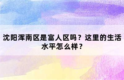 沈阳浑南区是富人区吗？这里的生活水平怎么样？