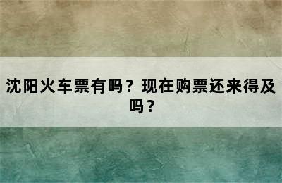 沈阳火车票有吗？现在购票还来得及吗？
