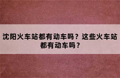 沈阳火车站都有动车吗？这些火车站都有动车吗？