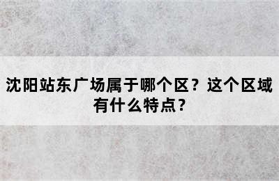 沈阳站东广场属于哪个区？这个区域有什么特点？