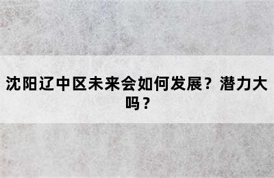 沈阳辽中区未来会如何发展？潜力大吗？