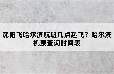 沈阳飞哈尔滨航班几点起飞？哈尔滨机票查询时间表