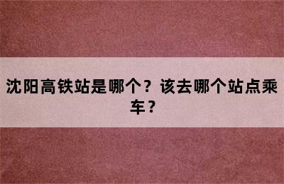 沈阳高铁站是哪个？该去哪个站点乘车？