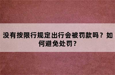 没有按限行规定出行会被罚款吗？如何避免处罚？