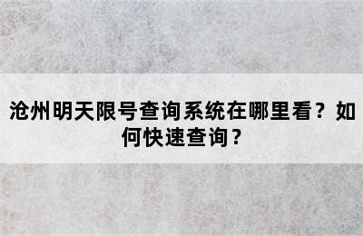 沧州明天限号查询系统在哪里看？如何快速查询？