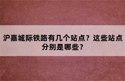沪嘉城际铁路有几个站点？这些站点分别是哪些？