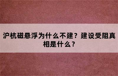 沪杭磁悬浮为什么不建？建设受阻真相是什么？