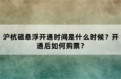沪杭磁悬浮开通时间是什么时候？开通后如何购票？