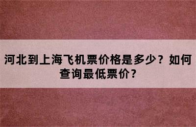 河北到上海飞机票价格是多少？如何查询最低票价？