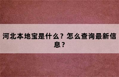 河北本地宝是什么？怎么查询最新信息？