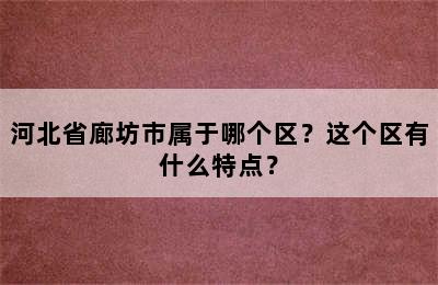 河北省廊坊市属于哪个区？这个区有什么特点？