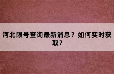 河北限号查询最新消息？如何实时获取？
