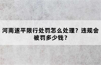 河南遂平限行处罚怎么处理？违规会被罚多少钱？