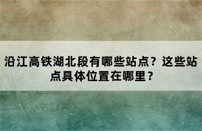 沿江高铁湖北段有哪些站点？这些站点具体位置在哪里？