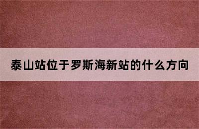 泰山站位于罗斯海新站的什么方向