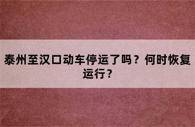 泰州至汉口动车停运了吗？何时恢复运行？
