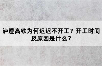 泸遵高铁为何迟迟不开工？开工时间及原因是什么？