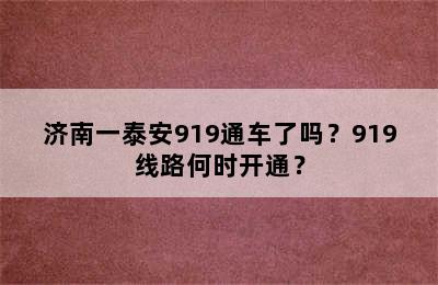 济南一泰安919通车了吗？919线路何时开通？