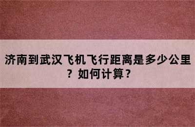 济南到武汉飞机飞行距离是多少公里？如何计算？