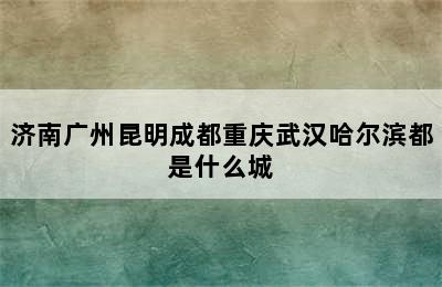 济南广州昆明成都重庆武汉哈尔滨都是什么城