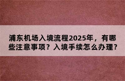 浦东机场入境流程2025年，有哪些注意事项？入境手续怎么办理？