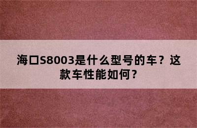 海口S8003是什么型号的车？这款车性能如何？