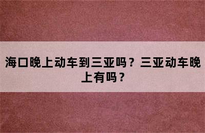 海口晚上动车到三亚吗？三亚动车晚上有吗？