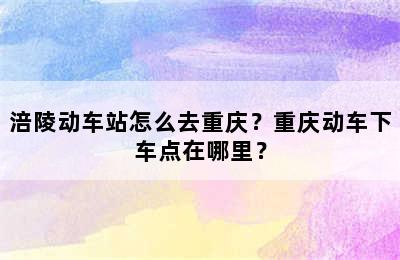 涪陵动车站怎么去重庆？重庆动车下车点在哪里？