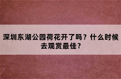 深圳东湖公园荷花开了吗？什么时候去观赏最佳？