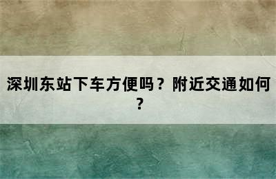深圳东站下车方便吗？附近交通如何？
